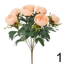 Kytica pivónia mix s rôznymi farbami.