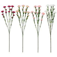 KS KARAFIÁT Vícekvěté MIX 6F - FLORASYSTEM