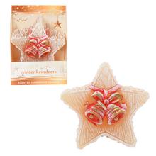 Figúrky zimných sobov v krabičke.