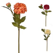 DAHLIA 3F 46cm - Gerbera, jiřina | FLORASYSTEM