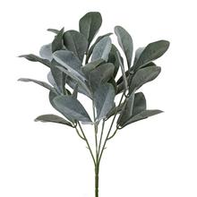 ZELEŇ LISTY OVÁLNE SIVO-ZELENÉ 36CM - FLORASYSTEM