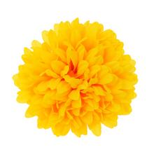 HLAVA CHRYZANTÉMA 12CM BAL:12KS ŽLTÁ - Chryzantéma, jiřina | FLORASYSTEM