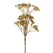 ZELEŇ GYPSA HNEDÁ x4  - FLORASYSTEM