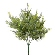 ZELEŇ TUJA  38cm - FLORASYSTEM