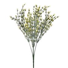 ZELEŇ GYPSA KRÉMOVÁ 34CM - Zápich bílý / žlutý | FLORASYSTEM