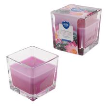 VOŇ.V SKLE trikolóra KAKTUS - Ve skle | FLORASYSTEM