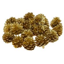 Blue Pine /gold/ 500g -susz/I819_20 - Suché vianočné | FLORASYSTEM
