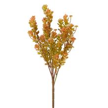 ZELEŇ SEDUM ORANŽOVÉ 35CM - Zápich oranžový / červený / hnedý | FLORASYSTEM