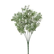 ZELEŇ SEDUM ZEL-BIELE 32CM - FLORASYSTEM