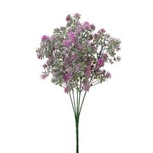 ZELEŇ SEDUM ZEL-FIALOVÁ 32CM - FLORASYSTEM