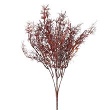 ZELEŇ ASPARÁT BODOVÝ 40CM - Zápich oranžový / červený / hnedý | FLORASYSTEM