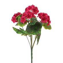 KYTICA ZONALKA x6 CYKLAMÉN 38CM - FLORASYSTEM