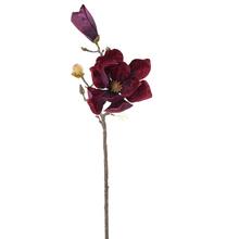 KS MAGNÓLIA BORDOVÁ 58CM - FLORASYSTEM