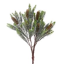 ZELEŇ ČEČINA, ŠIŠKY 42CM - FLORASYSTEM