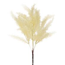 ZELEŇ ASPARÁT KRÉMOVÝ 37CM - FLORASYSTEM