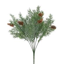 ZELEŇ TUJA, ŠIŠKY 35CM - FLORASYSTEM