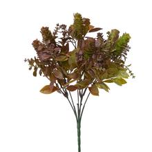 ZELEŇ SUKULENT ZEL-BORDO., DROB. LÍSTKY 33CM - FLORASYSTEM