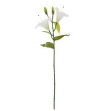 KS ĽALIA BIELA 2 KV+3 PUKY 64CM - Lilie | FLORASYSTEM