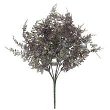 ZELEŇ PAPRAĎ MODRO-SIVÁ 40CM - FLORASYSTEM