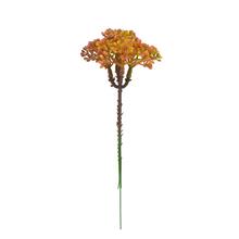 ZÁPICH ZELEŇ TRACHELIUM ZEL-ČER 18CM /BAL.: 3ks/ - FLORASYSTEM