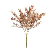 ZELEŇ KLASY HNEDÉ 38CM - Zápich oranžový / červený / hnedý | FLORASYSTEM