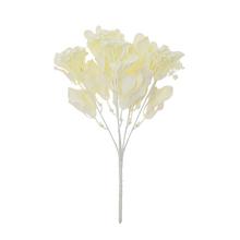 ZELEŇ DROB. LÍSTKY KRÉMOVÁ 28CM - Zápich bílý / žlutý | FLORASYSTEM