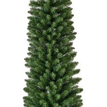 Vianočný stromček Pencil borovica úzka 180 cm