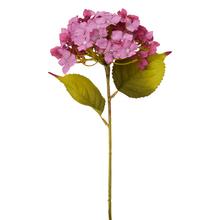KS HYDRANGEA FIALOVÁ, ZELEŇ 33CM - Hortenzie | FLORASYSTEM