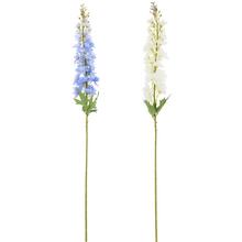 KS DELPHINIUM MIX/2F 103CM  - Luční květiny | FLORASYSTEM