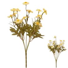 KYTICA MARGARÉTKY MIX/2F 30CM - Kopretina | FLORASYSTEM