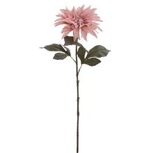 KS DALIA RUŽOVÁ 68CM - FLORASYSTEM