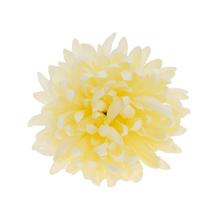 HLAVA CHRYZANTÉMA KRÉM BAL:12KS - FLORASYSTEM