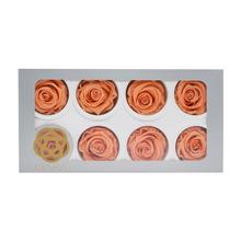 Ruža preparovaná 5cm PAPAYA/bal. 8ks - FLORASYSTEM