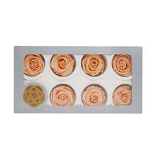 Ruža preparovaná 5cm CANTALOUPE /bal.8ks - FLORASYSTEM