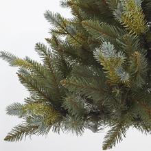 Vianočný strom na kmeni GH66 borovica so striebornou vetvou 150 cm.