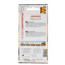 Rajčete KOL. ANANAS 15s - FLORASYSTEM