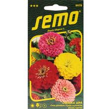 Cínie GEANT DE CALIFORNIA 0,7g - FLORASYSTEM