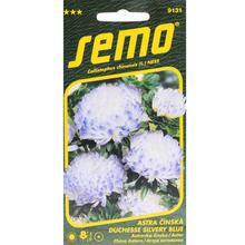 ASTRA ČÍNSKÁ Duchess Silver BLUE 0,5g - SEMO | FLORASYSTEM