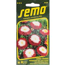 Astra ČÍNSKÁ Pomponi RED AND WHITE 0,5g - SEMO | FLORASYSTEM