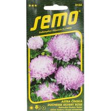 Astra ČÍNSKÁ Duchess Silver ROSE 0,5g - SEMO | FLORASYSTEM
