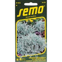 Starček SILVERDUST 0,3g - FLORASYSTEM