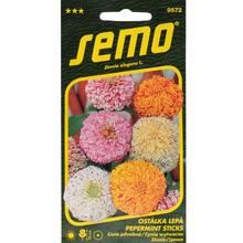 Cínie Pepermint STICKS 0,5g - SEMO | FLORASYSTEM