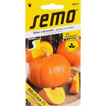 DÝNĚ DELICIAN F1 5s - SEMO | FLORASYSTEM