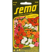 Netýkavka sultánského SMĚS 0,04g - SEMO | FLORASYSTEM