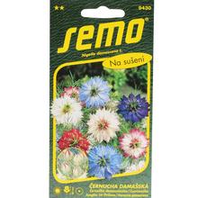 Černuchou damascénské PERSIAN JEW 1g - FLORASYSTEM