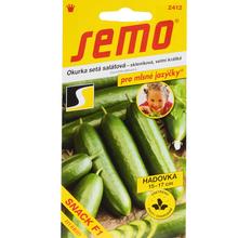 OKURKY sal. SKL. BURPLESS TASTY GREEN F1 10s - SEMO | FLORASYSTEM