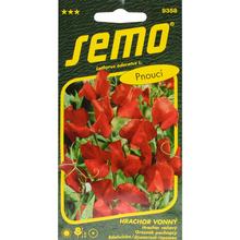 Hrachor ven. MAMMOTH SCARLET 2g - FLORASYSTEM