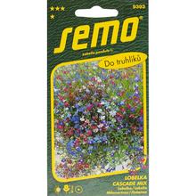 Lobelka CASCADE SMĚS 0,25g - Semena | FLORASYSTEM