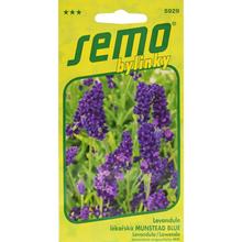 LEVANDULE MUNSTEAD BLUE 0,4g - FLORASYSTEM