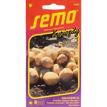 ZEMIAK OBECNÝ 14pel. - FLORASYSTEM